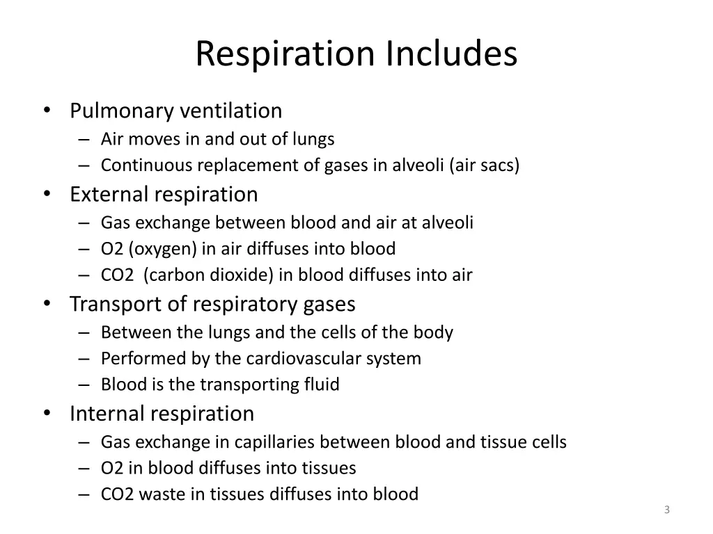 respiration includes