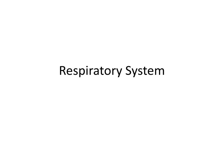 respiratory system