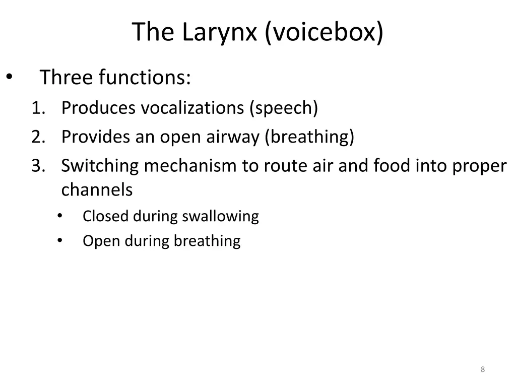 the larynx voicebox