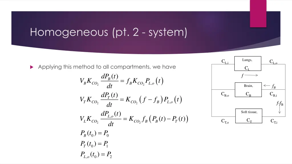 homogeneous pt 2 system