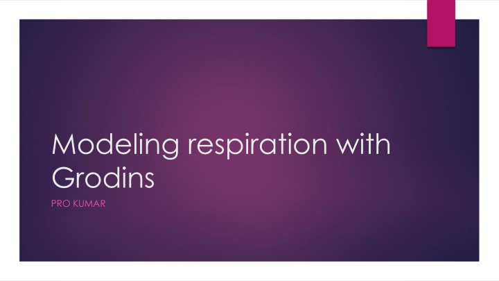 modeling respiration with grodins pro kumar