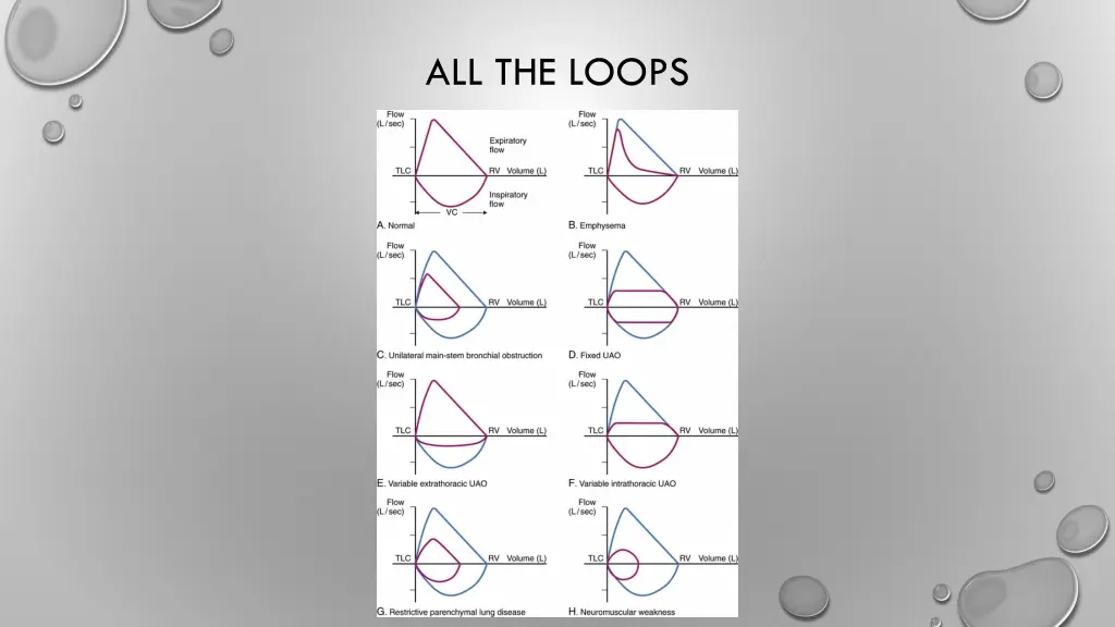 all the loops