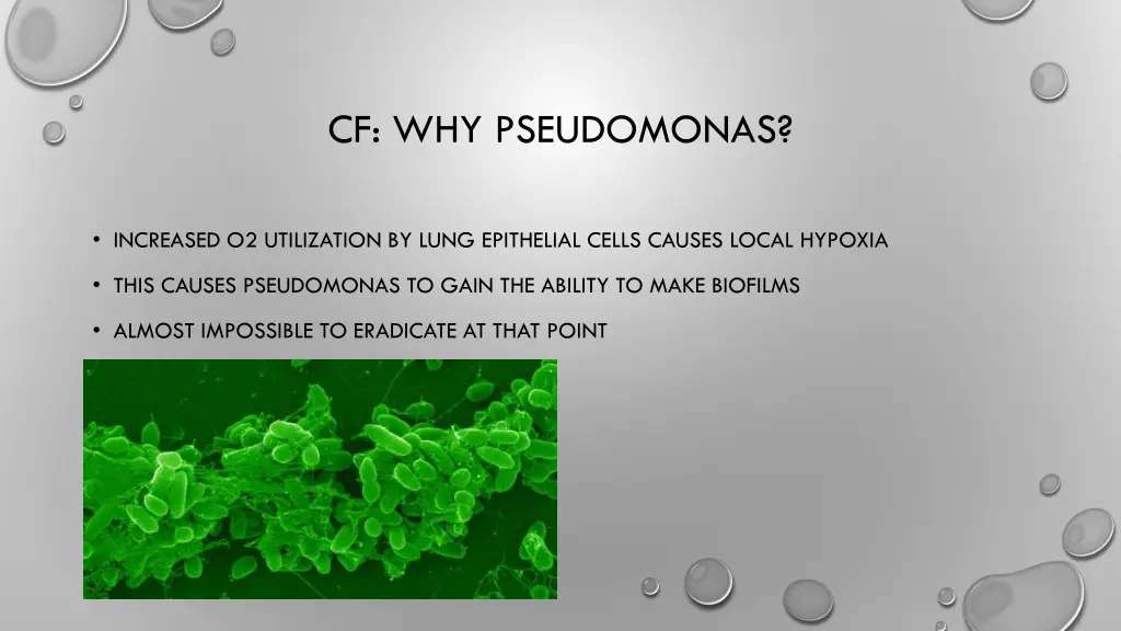 cf why pseudomonas