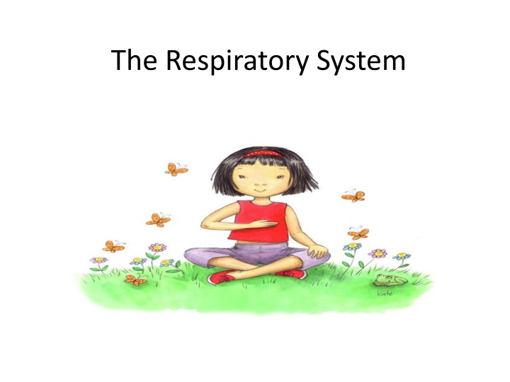 the respiratory system