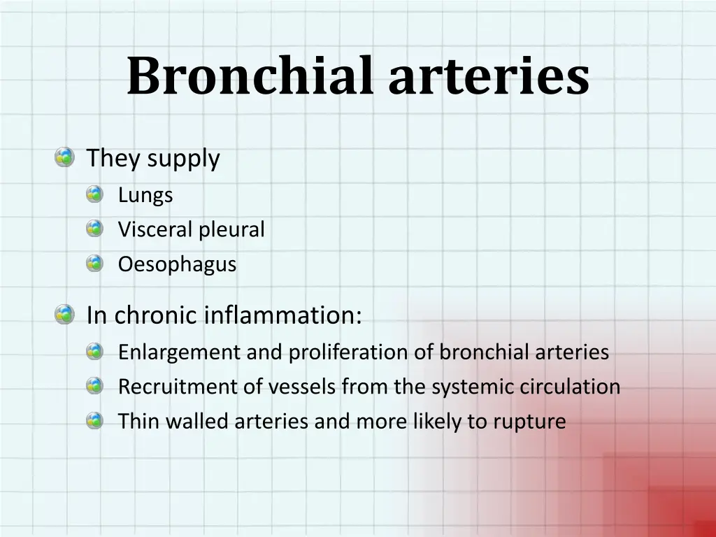 bronchial arteries