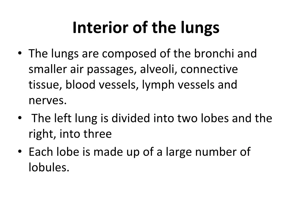 interior of the lungs