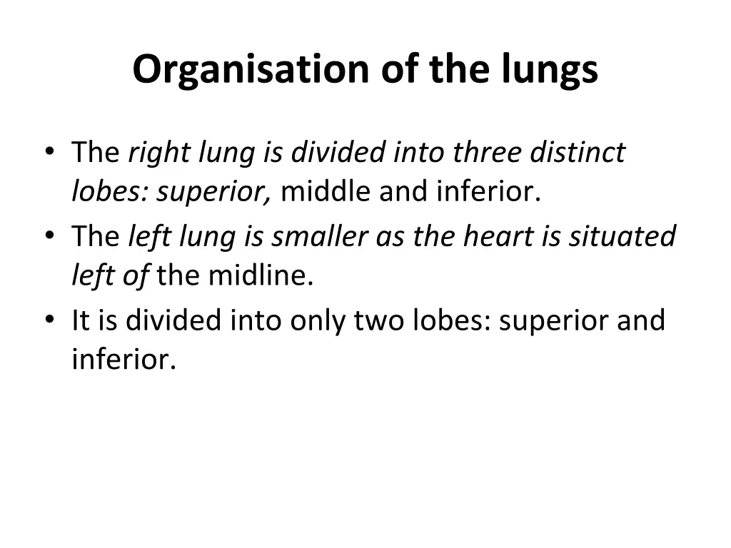 organisation of the lungs