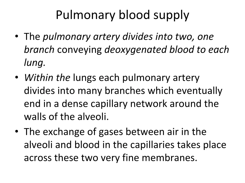 pulmonary blood supply