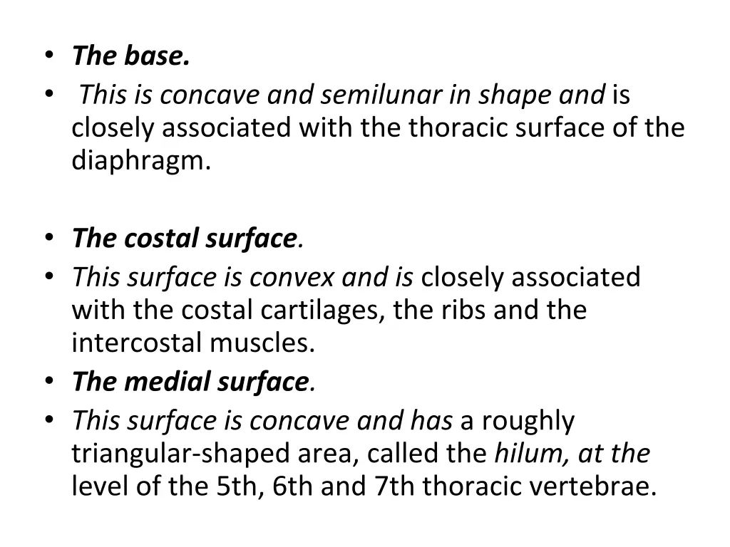 the base this is concave and semilunar in shape