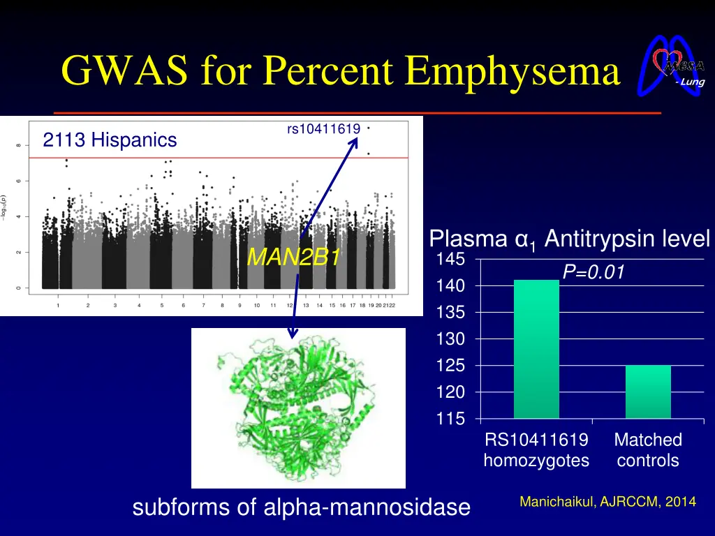 gwas for percent emphysema 1