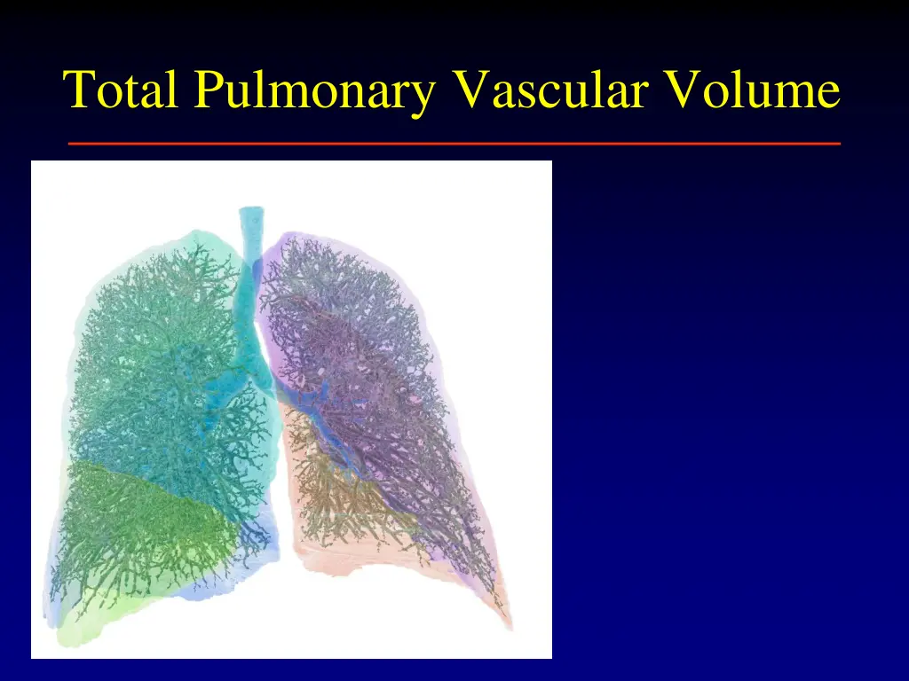 total pulmonary vascular volume