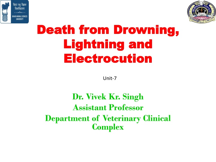 death from drowning death from drowning lightning