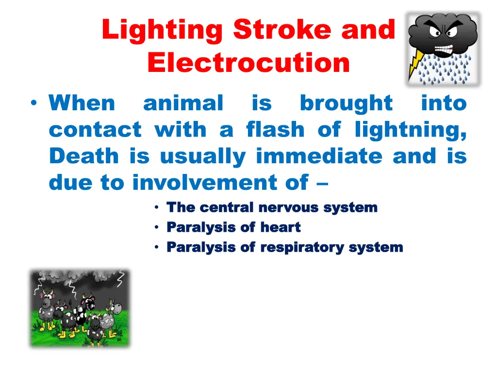 lighting stroke and electrocution when animal