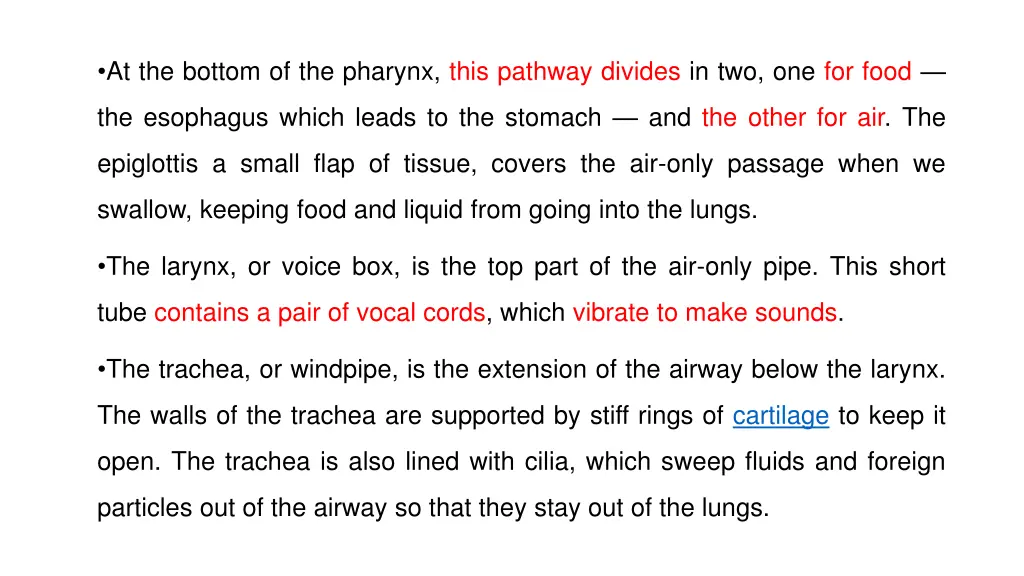 at the bottom of the pharynx this pathway divides