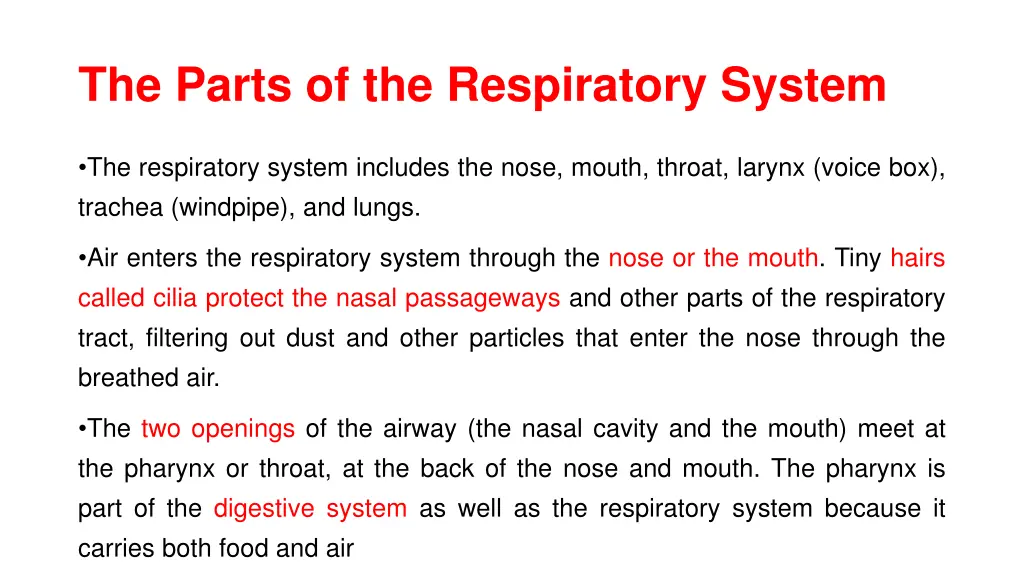 the parts of the respiratory system