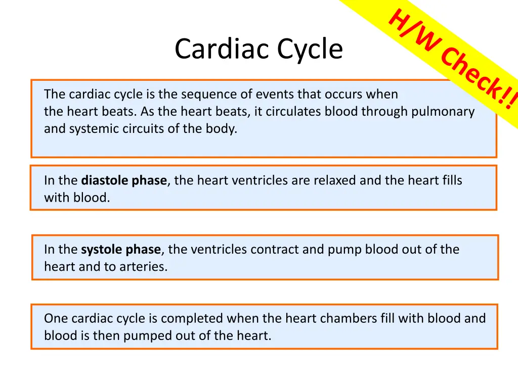 cardiac cycle 1