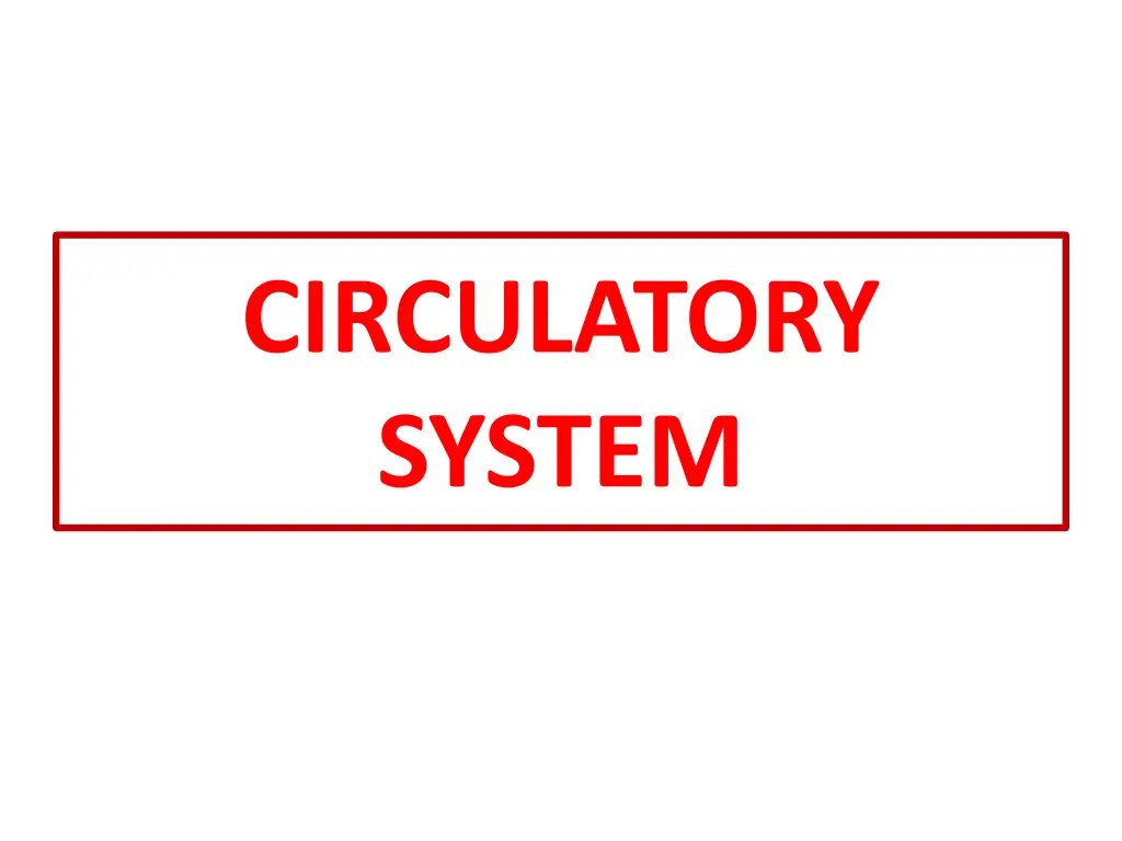 circulatory system