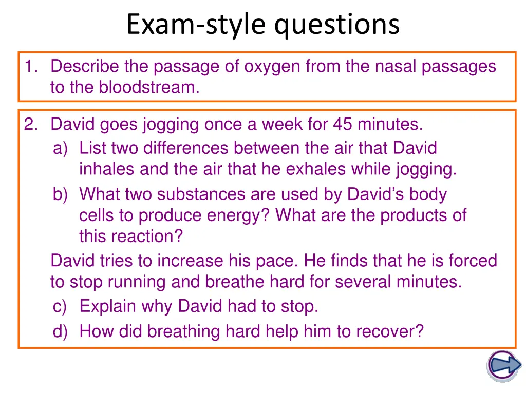 exam style questions