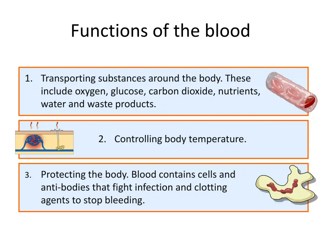 functions of the blood