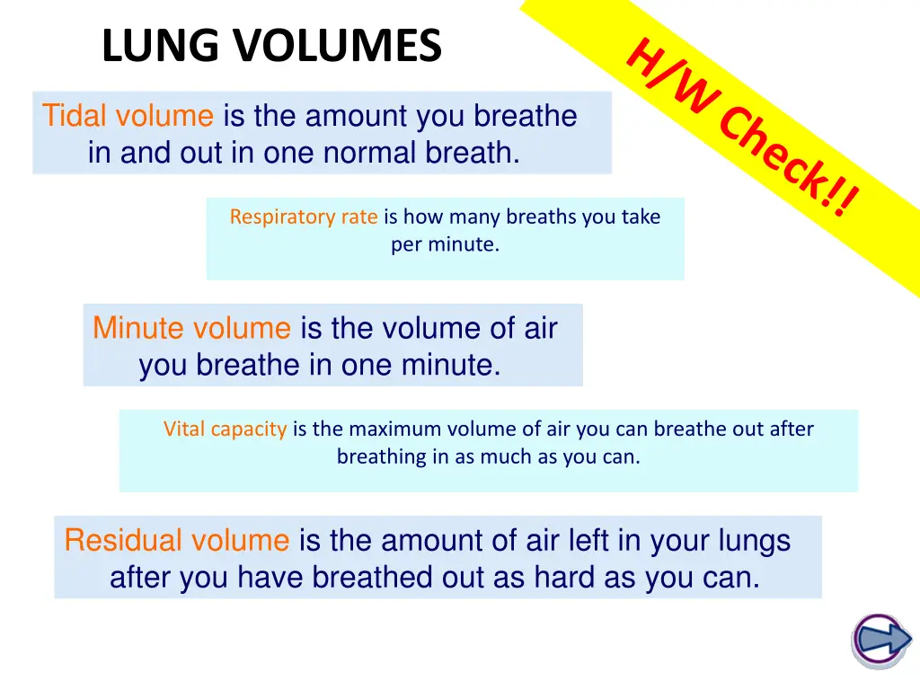 lung volumes