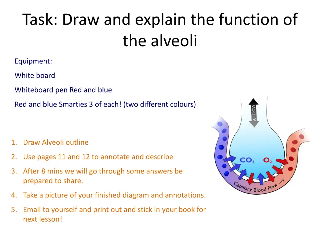 task draw and explain the function of the alveoli