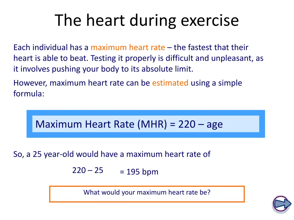 the heart during exercise