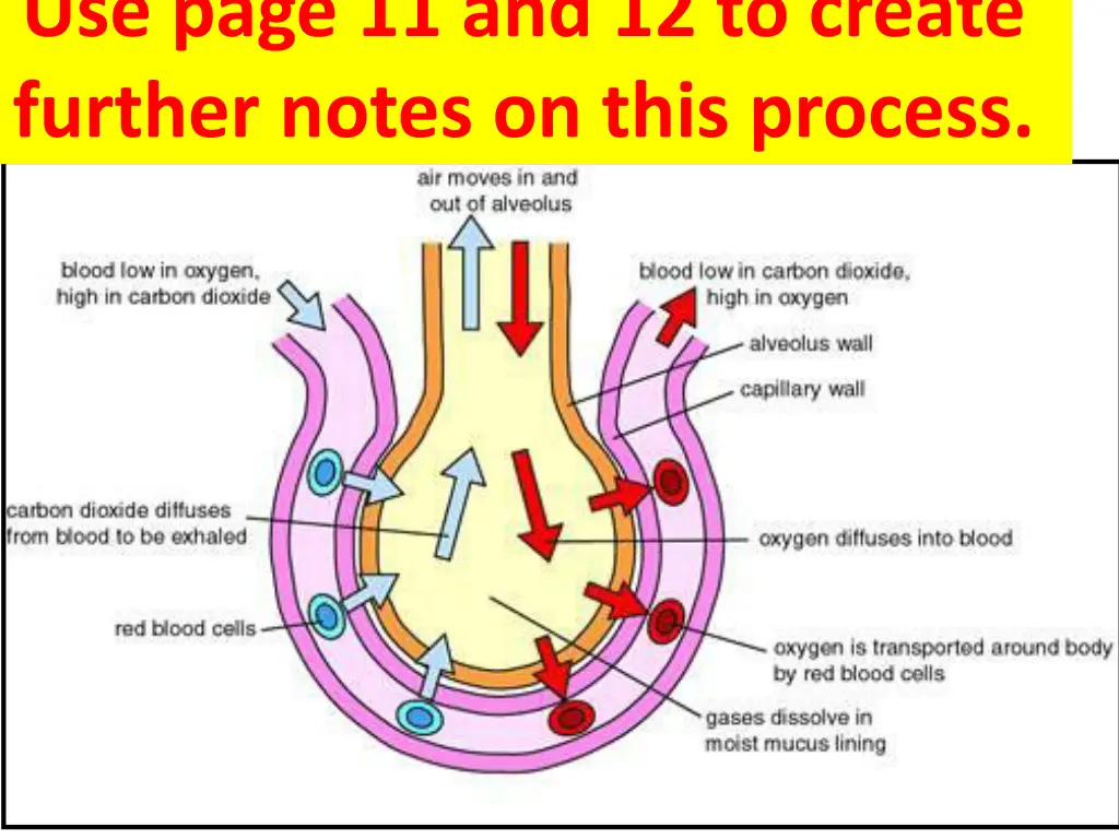 use page 11 and 12 to create