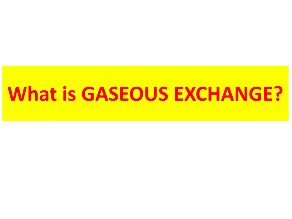 what is gaseous exchange