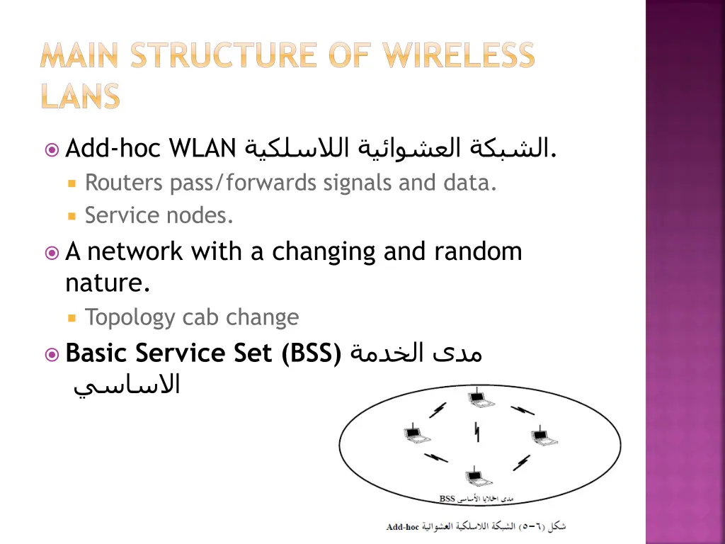 main structure of wireless lans