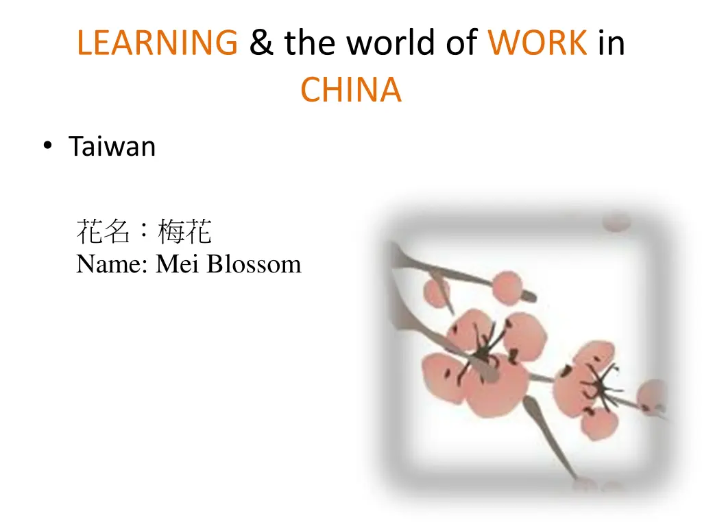 learning the world of work in china 1