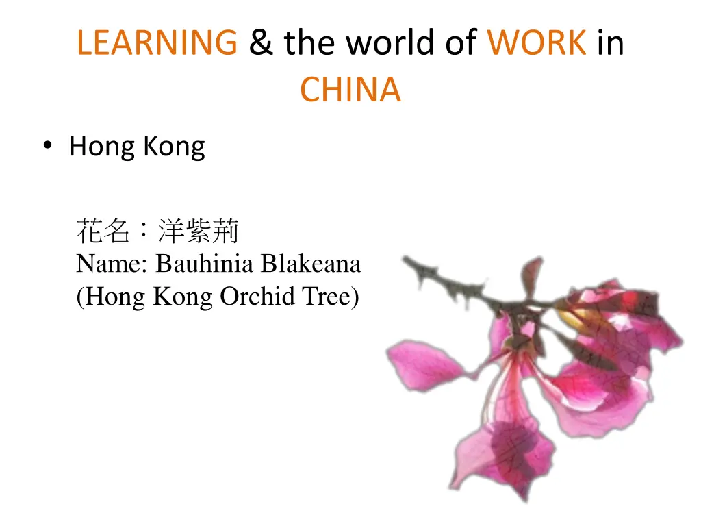 learning the world of work in china 2