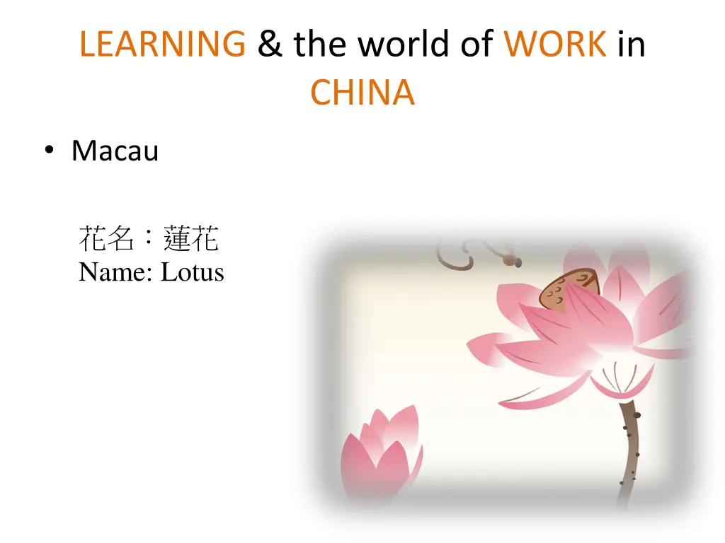 learning the world of work in china 3