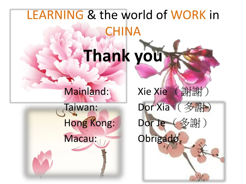 learning the world of work in china 4