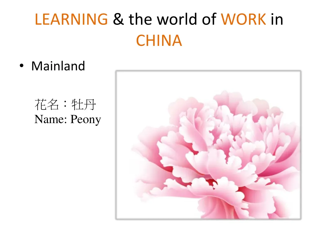 learning the world of work in china