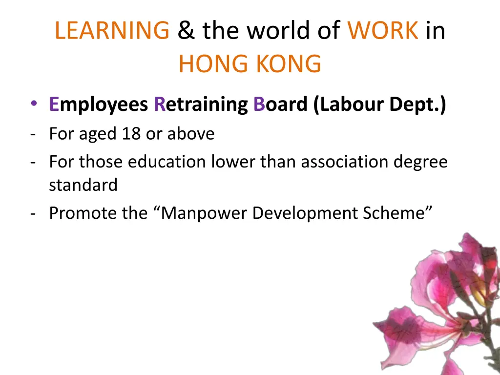 learning the world of work in hong kong 6