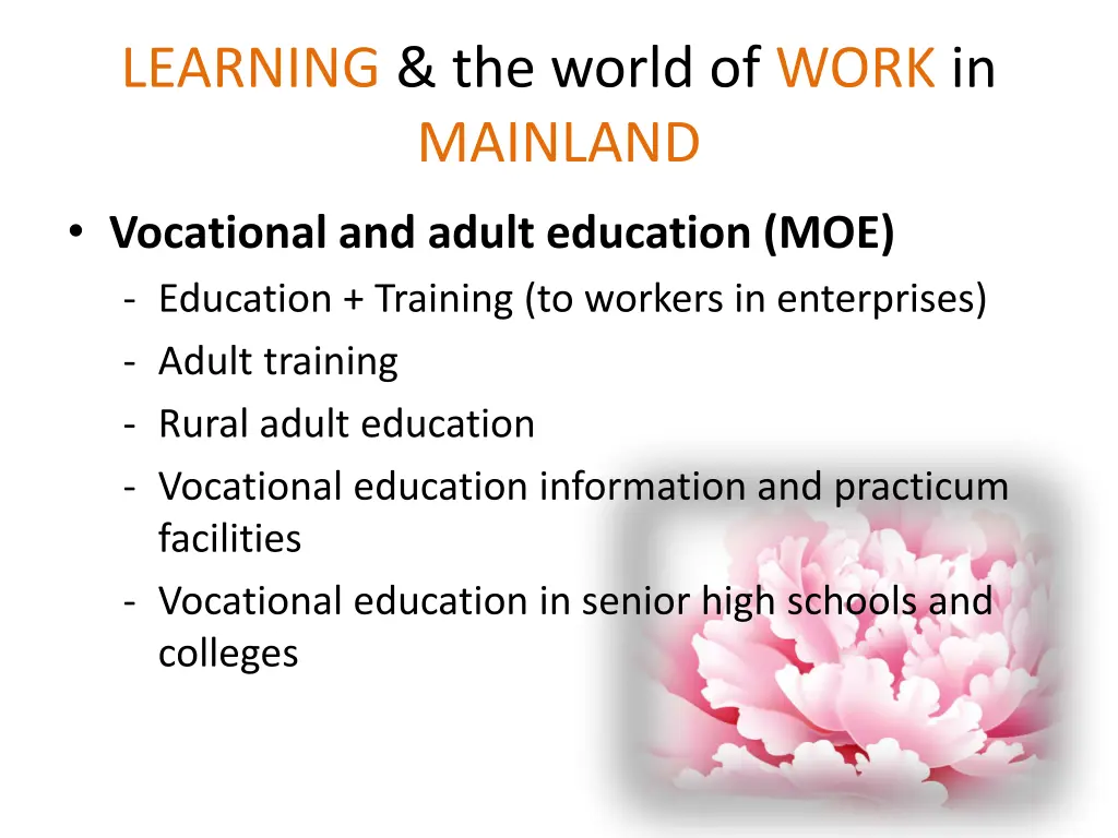 learning the world of work in mainland 1