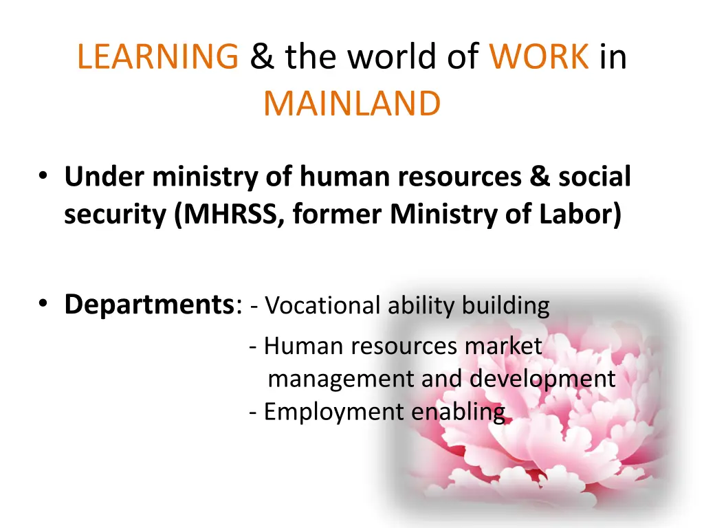 learning the world of work in mainland 3