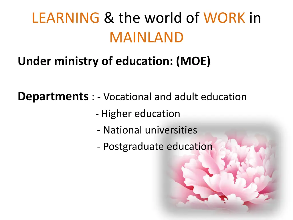 learning the world of work in mainland