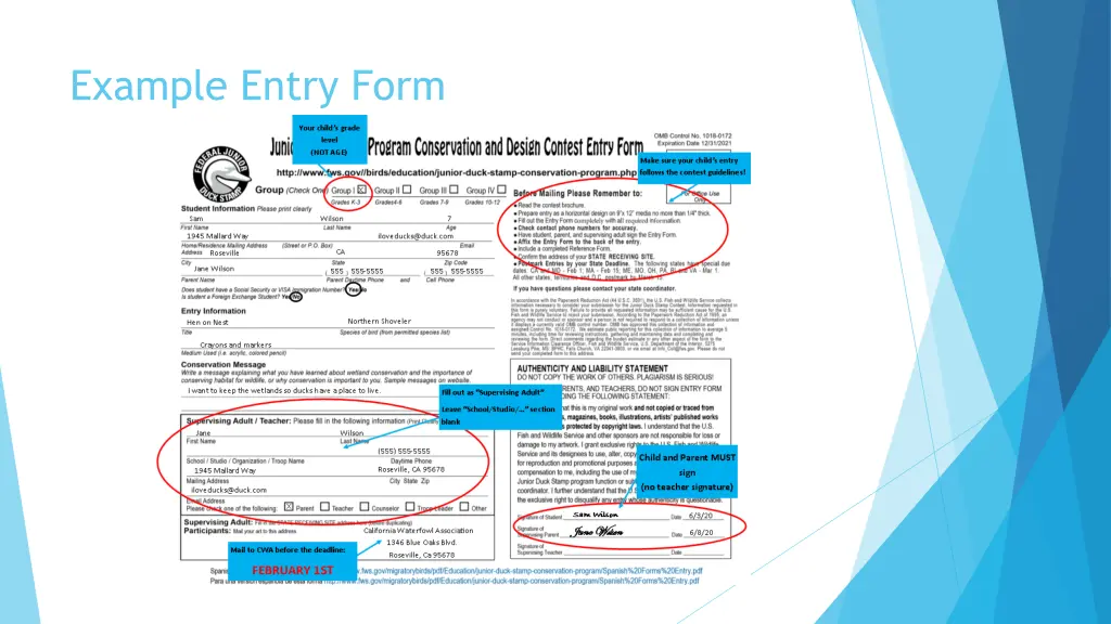 example entry form