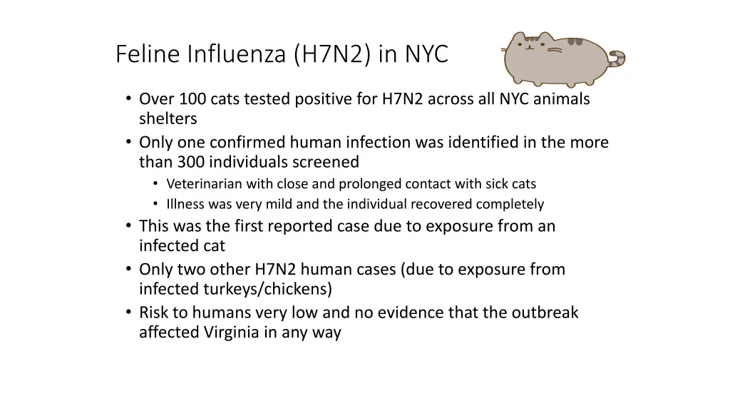 feline influenza h7n2 in nyc