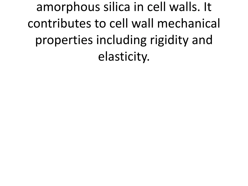 amorphous silica in cell walls it contributes