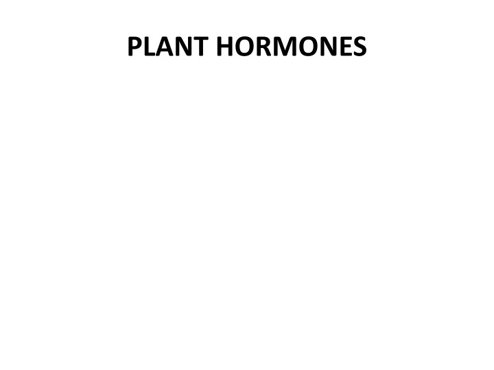 plant hormones