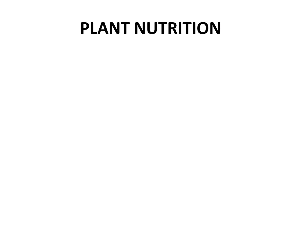 plant nutrition