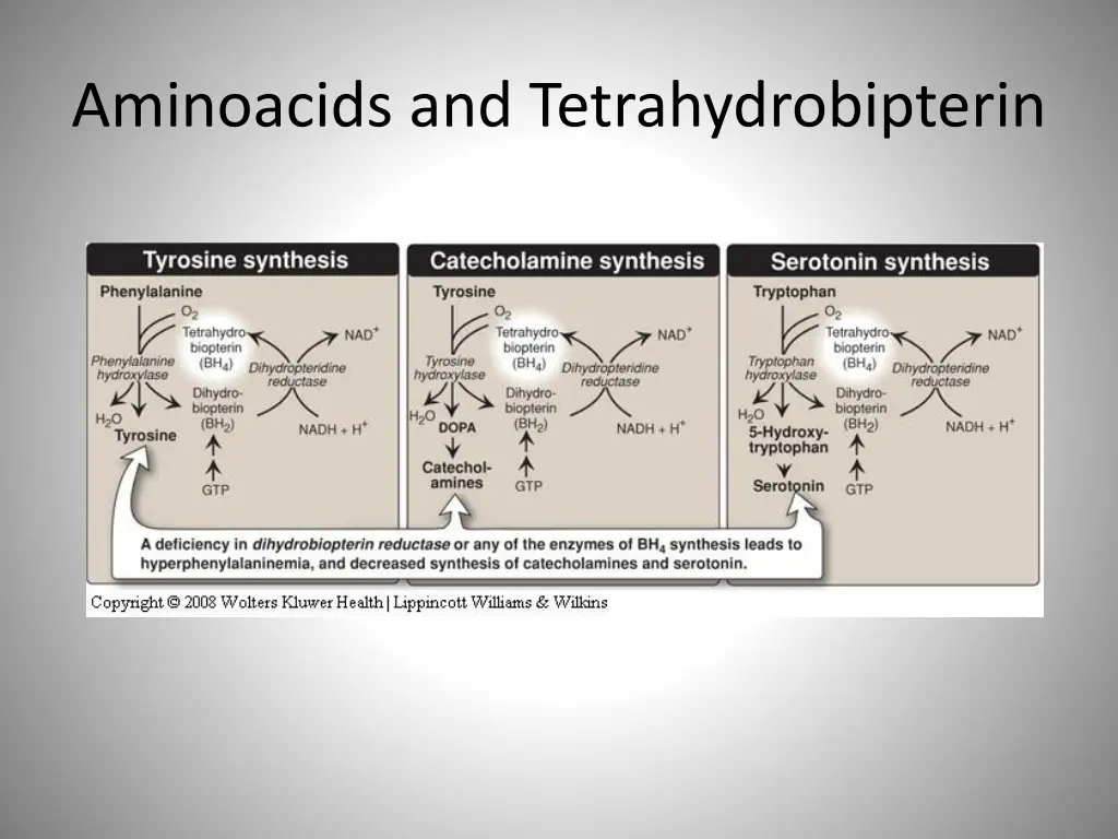 aminoacids and tetrahydrobipterin