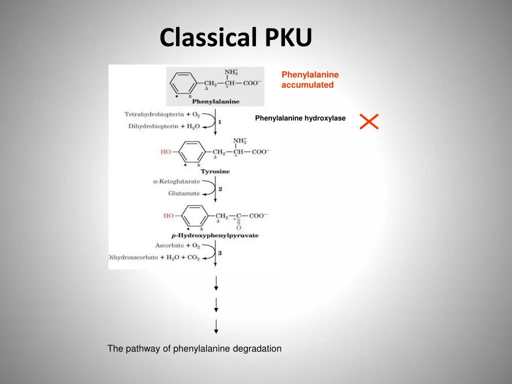 classical pku