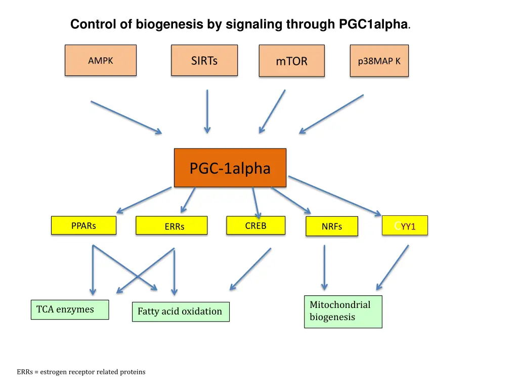 control of biogenesis by signaling through