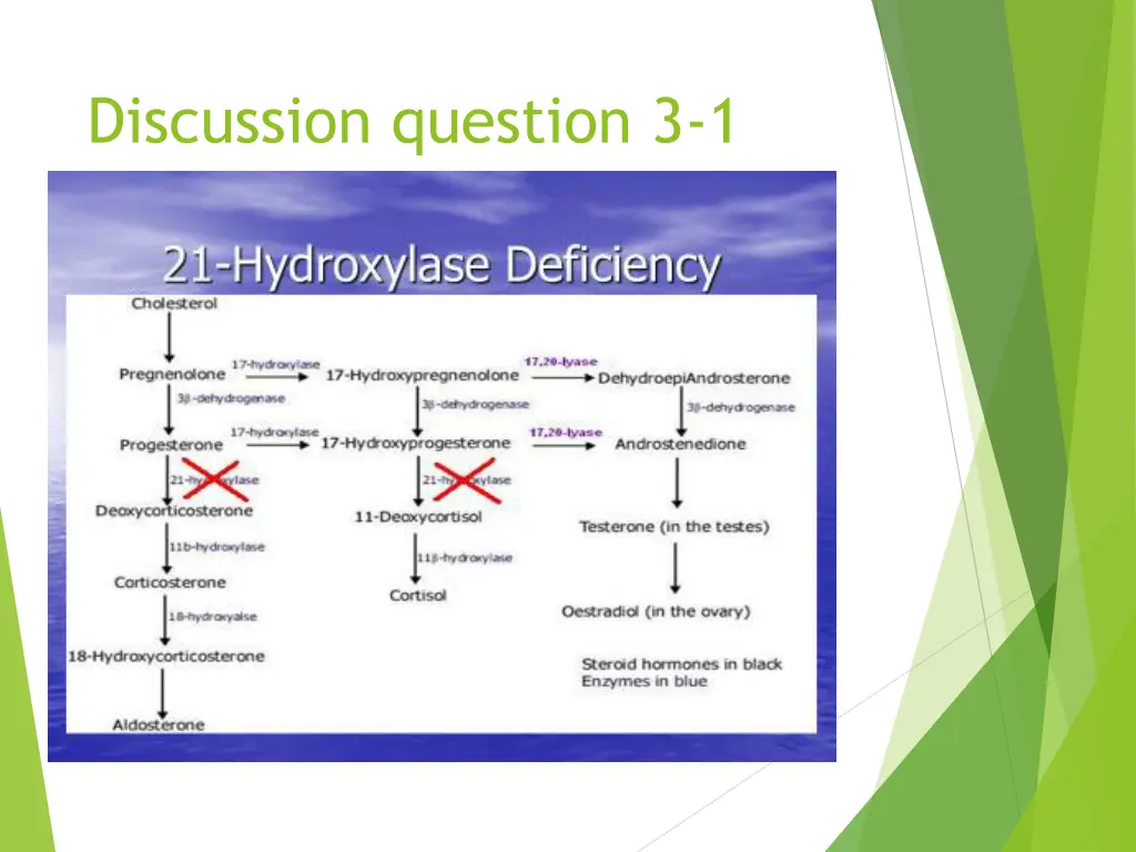 discussion question 3 1 1