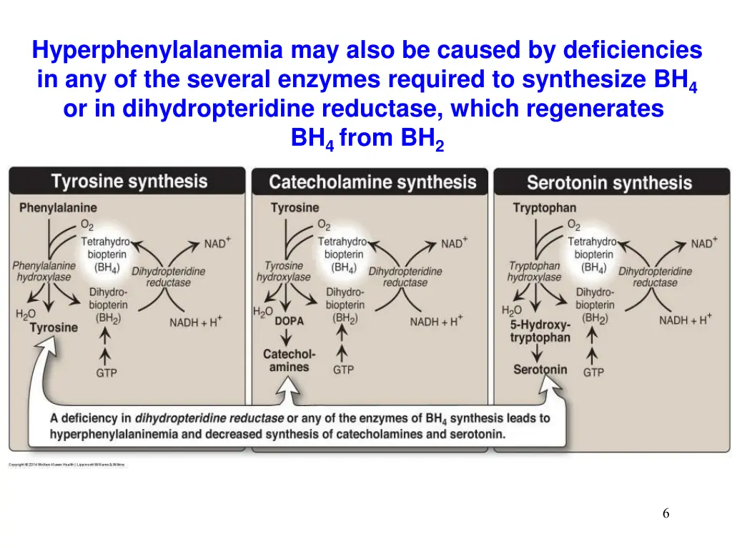 hyperphenylalanemia may also be caused