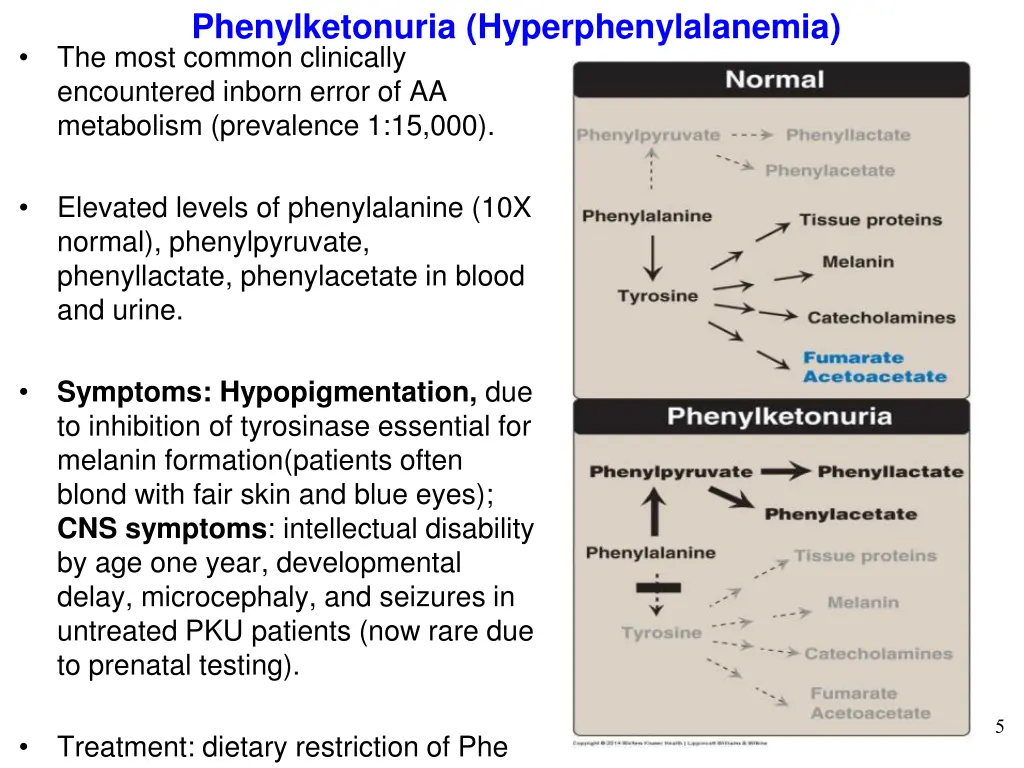 phenylketonuria hyperphenylalanemia the most