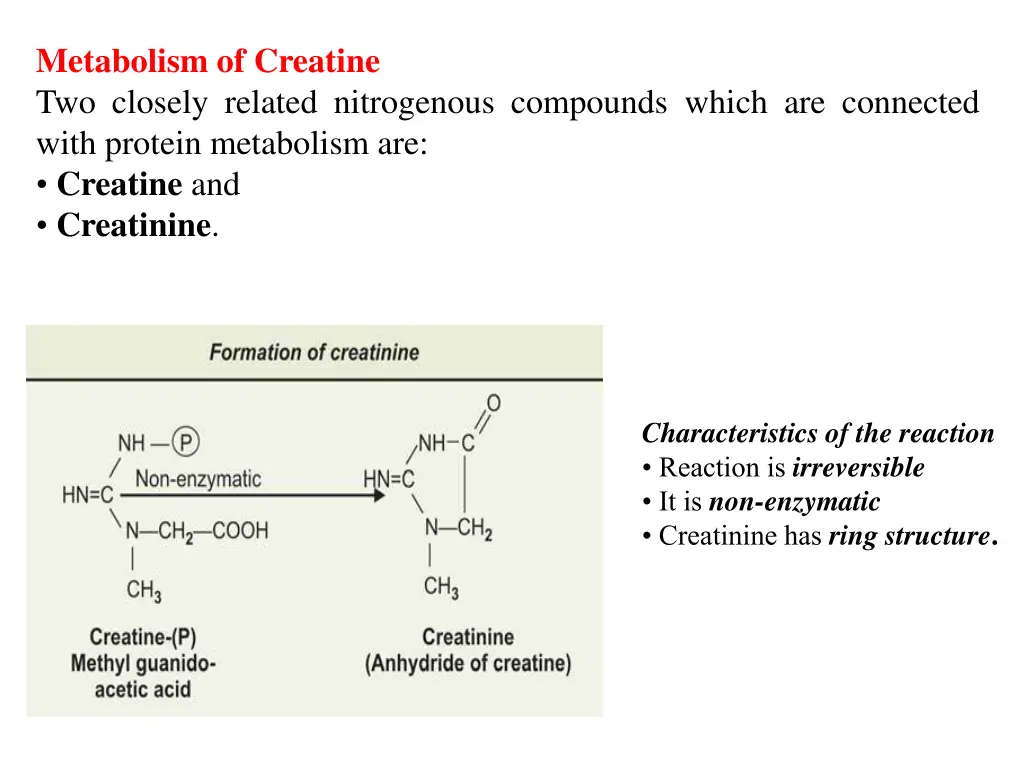 metabolism of creatine two closely related